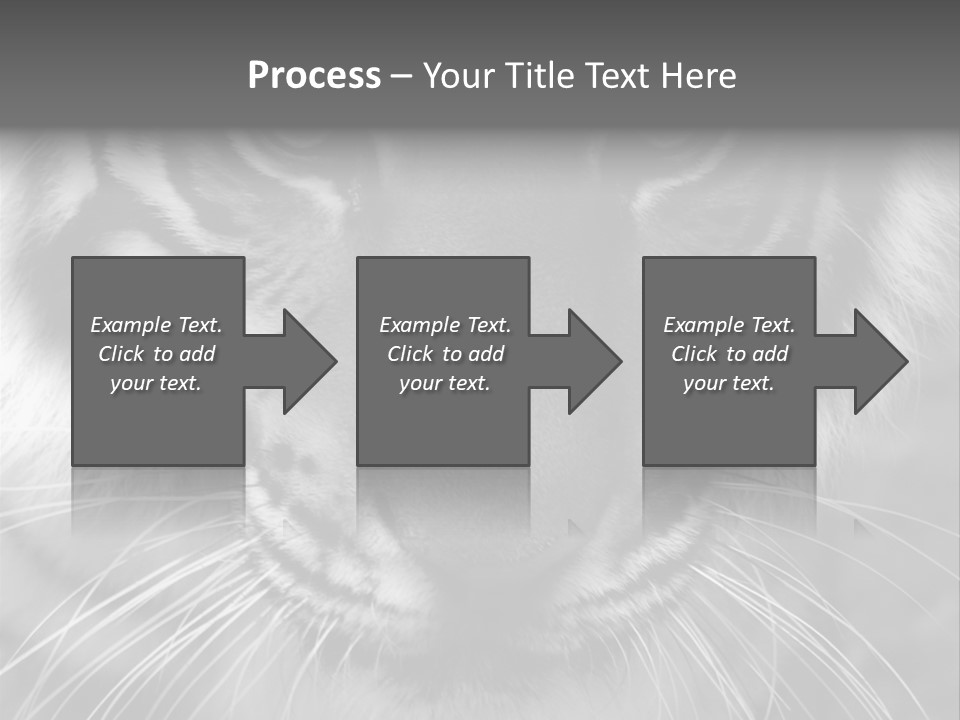 Down Zoo Jungle PowerPoint Template