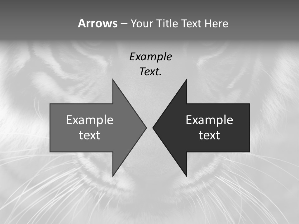 Down Zoo Jungle PowerPoint Template