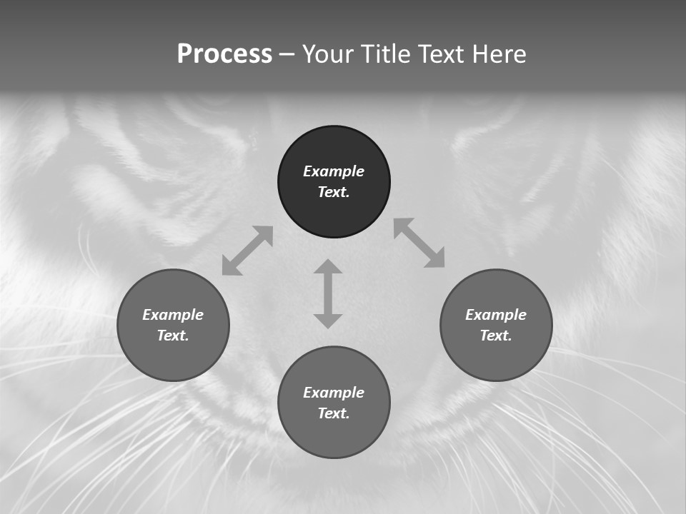 Down Zoo Jungle PowerPoint Template
