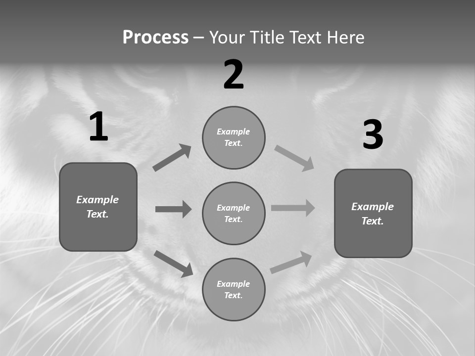 Down Zoo Jungle PowerPoint Template