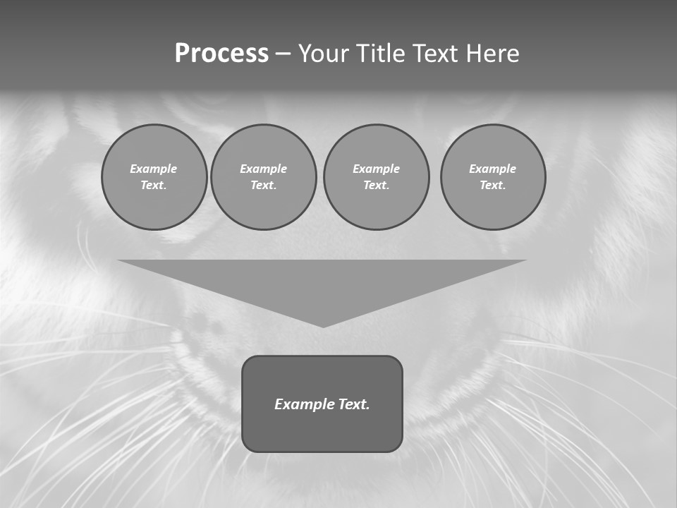 Down Zoo Jungle PowerPoint Template