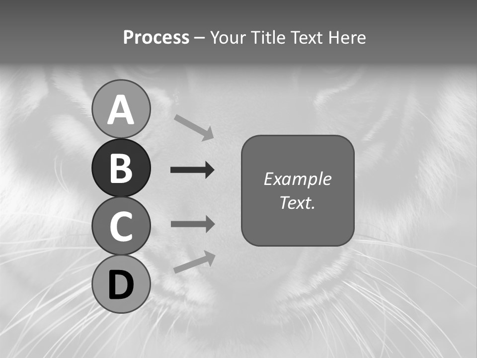 Down Zoo Jungle PowerPoint Template