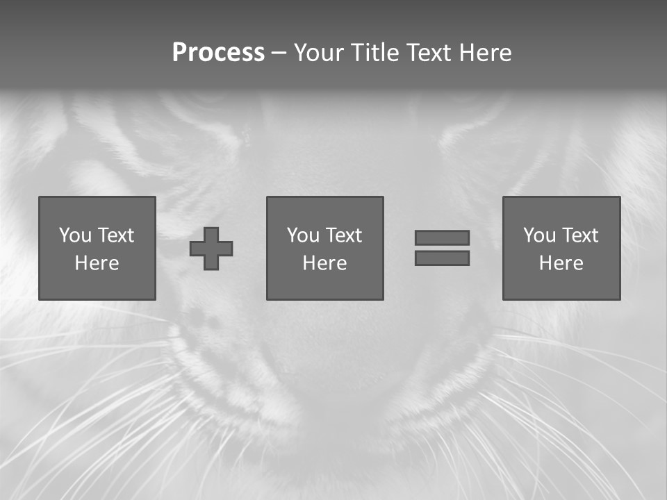 Down Zoo Jungle PowerPoint Template