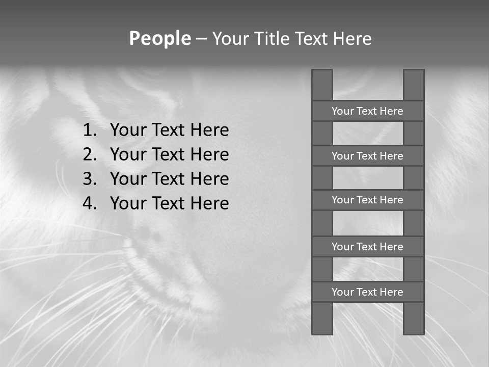 Down Zoo Jungle PowerPoint Template