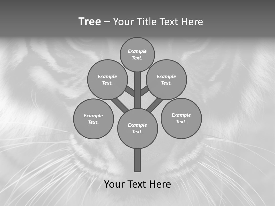 Down Zoo Jungle PowerPoint Template
