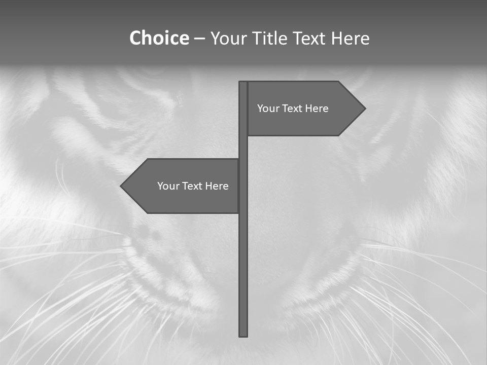 Down Zoo Jungle PowerPoint Template