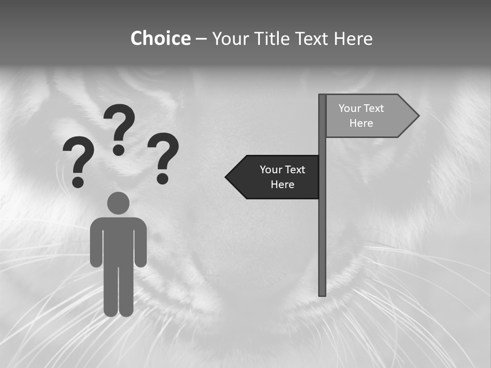 Down Zoo Jungle PowerPoint Template