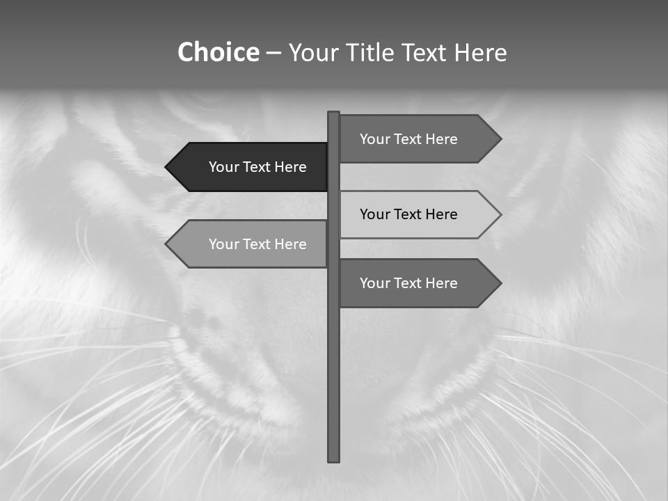 Down Zoo Jungle PowerPoint Template