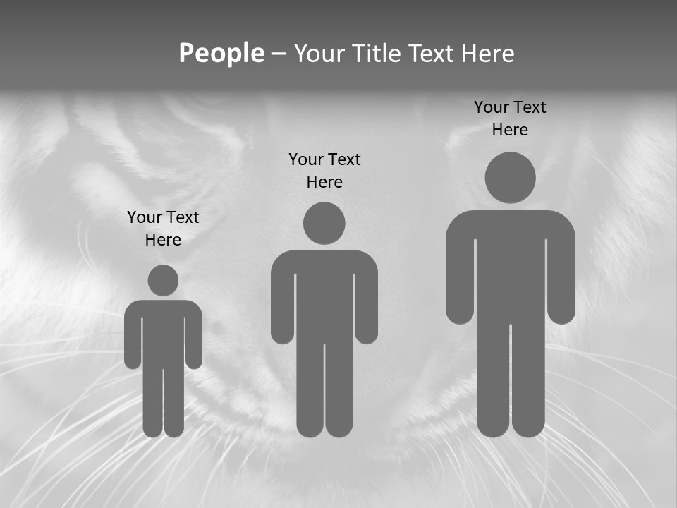 Down Zoo Jungle PowerPoint Template