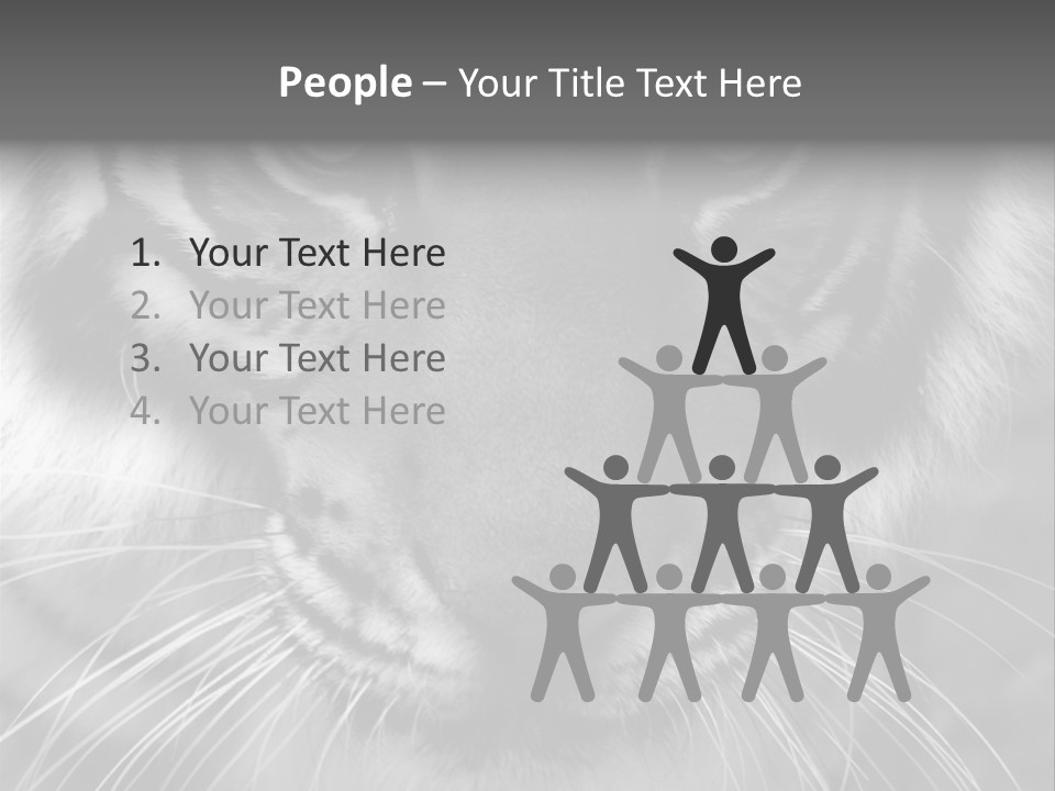 Down Zoo Jungle PowerPoint Template