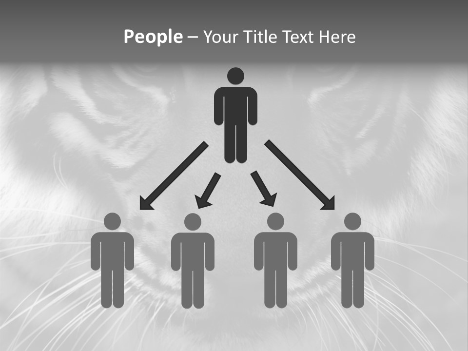 Down Zoo Jungle PowerPoint Template