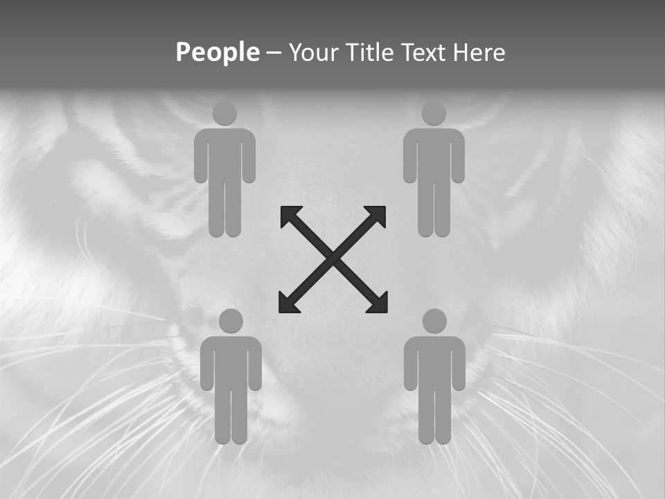 Down Zoo Jungle PowerPoint Template