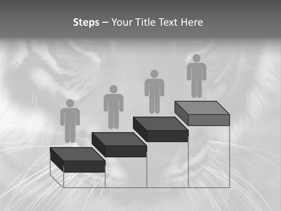 Down Zoo Jungle PowerPoint Template