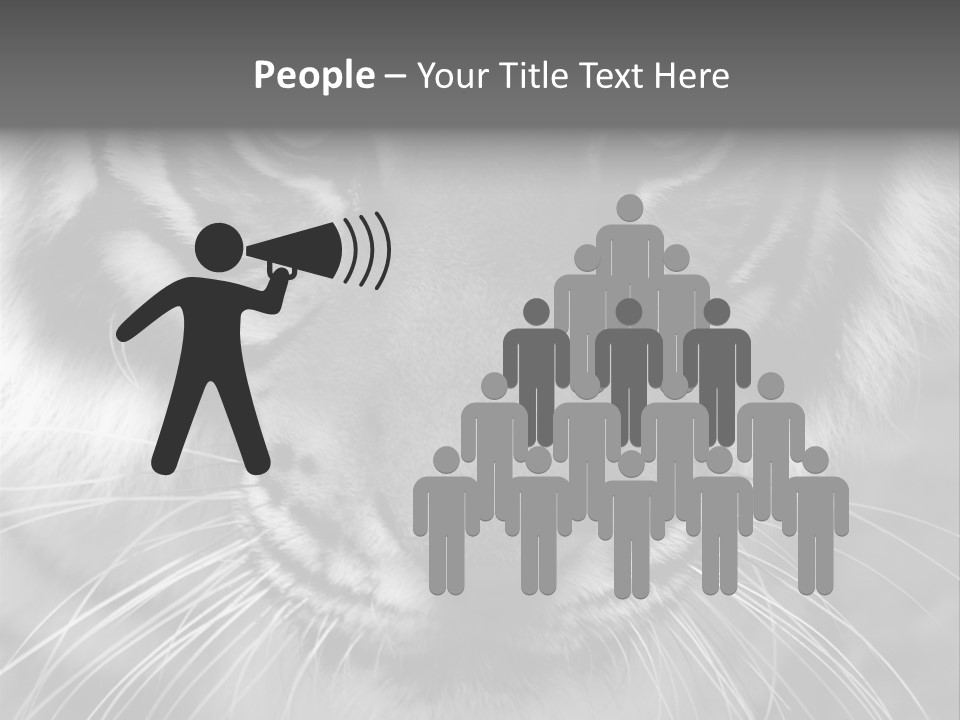 Down Zoo Jungle PowerPoint Template