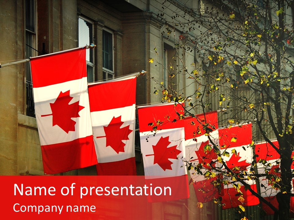 Country Diplomatic Leaf PowerPoint Template