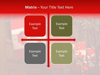 Country Diplomatic Leaf PowerPoint Template