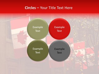 Country Diplomatic Leaf PowerPoint Template