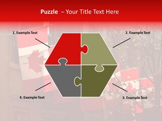 Country Diplomatic Leaf PowerPoint Template