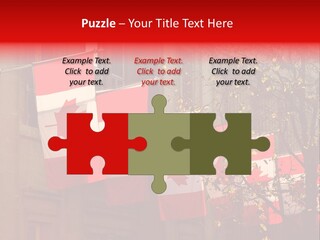 Country Diplomatic Leaf PowerPoint Template