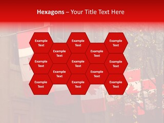 Country Diplomatic Leaf PowerPoint Template