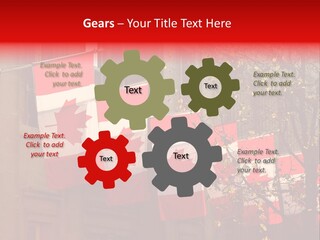 Country Diplomatic Leaf PowerPoint Template