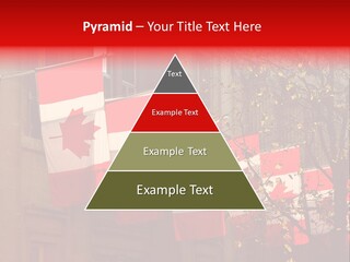 Country Diplomatic Leaf PowerPoint Template