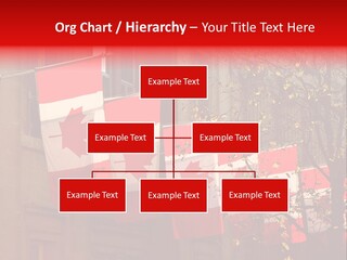 Country Diplomatic Leaf PowerPoint Template