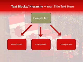 Country Diplomatic Leaf PowerPoint Template