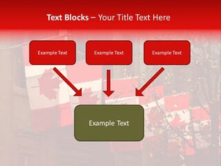 Country Diplomatic Leaf PowerPoint Template