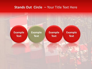 Country Diplomatic Leaf PowerPoint Template