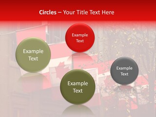 Country Diplomatic Leaf PowerPoint Template