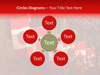 Country Diplomatic Leaf PowerPoint Template