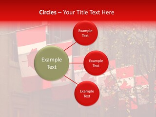 Country Diplomatic Leaf PowerPoint Template