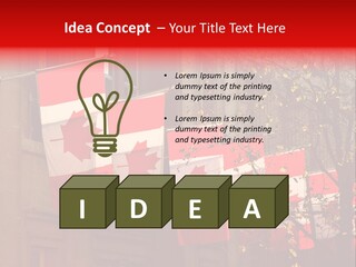 Country Diplomatic Leaf PowerPoint Template