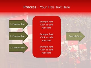 Country Diplomatic Leaf PowerPoint Template