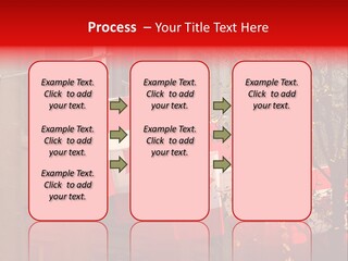 Country Diplomatic Leaf PowerPoint Template