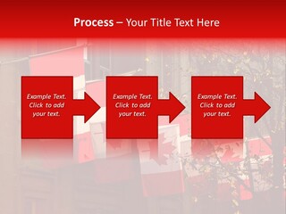 Country Diplomatic Leaf PowerPoint Template