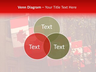 Country Diplomatic Leaf PowerPoint Template