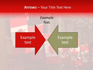 Country Diplomatic Leaf PowerPoint Template