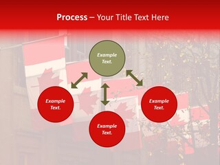 Country Diplomatic Leaf PowerPoint Template