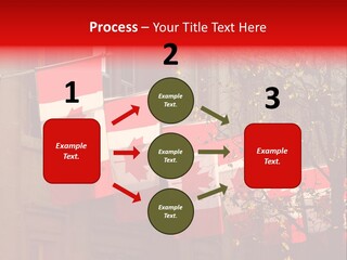 Country Diplomatic Leaf PowerPoint Template