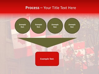 Country Diplomatic Leaf PowerPoint Template