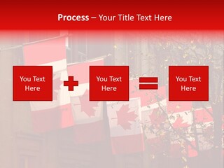 Country Diplomatic Leaf PowerPoint Template