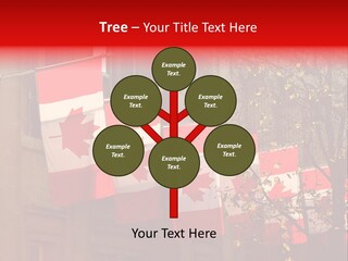 Country Diplomatic Leaf PowerPoint Template