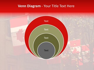 Country Diplomatic Leaf PowerPoint Template