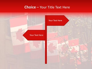 Country Diplomatic Leaf PowerPoint Template