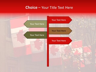 Country Diplomatic Leaf PowerPoint Template