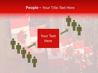 Country Diplomatic Leaf PowerPoint Template