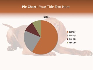 Puppy Charming One PowerPoint Template