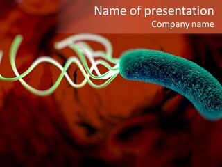 Gram Negative Helical Rod Shape PowerPoint Template